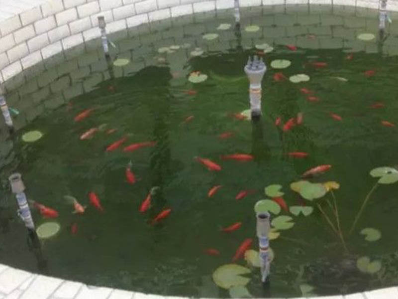 日照魚池水處理水凈化水循環(huán)設(shè)備