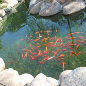 YSFY-900循環(huán)水設(shè)備