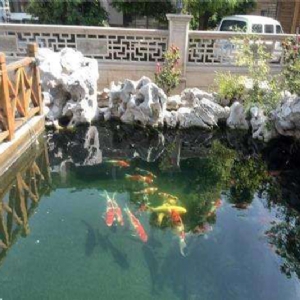 全自動魚池凈化系統(tǒng)