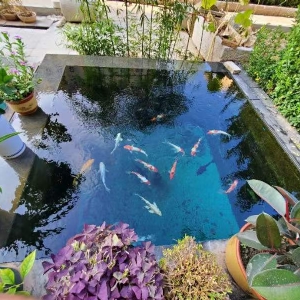 全自動(dòng)循環(huán)水設(shè)備