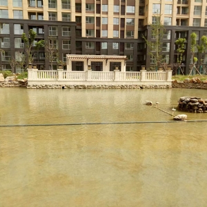 魚池過(guò)濾器客戶實(shí)地效果展示